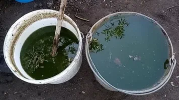 تصویر 1 از قیمت خرید کود مرغی بسته‌ بندی استاندارد عمده به صرفه و ارزان